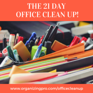 Logo 21 Day Office Clean Up Course