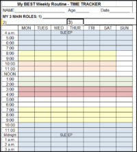 168-hour-time-tracker-organizingpro.com