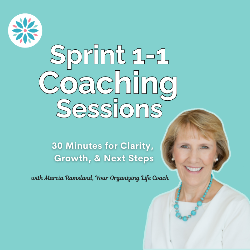 1-1 Sprint Coaching